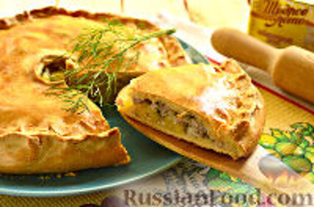 Фото к рецепту: Пирог с мясом