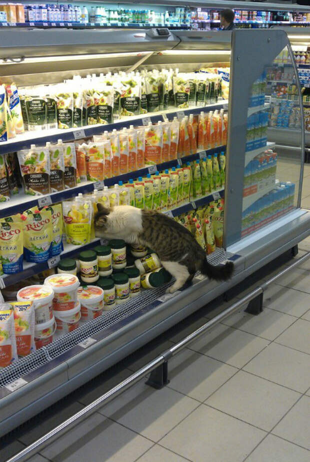 Сотрудник магазина. Сотрудник магазина.