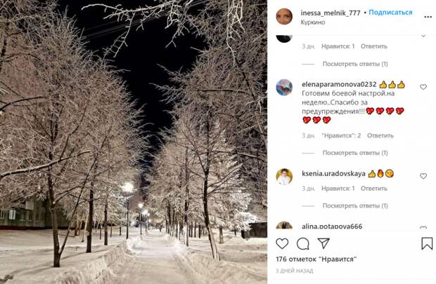 Фото дня: сказочная аллея