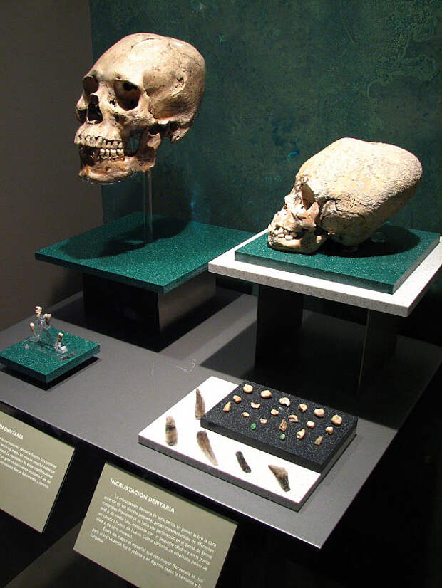 Артефакты ацтеков, альмеков и майя