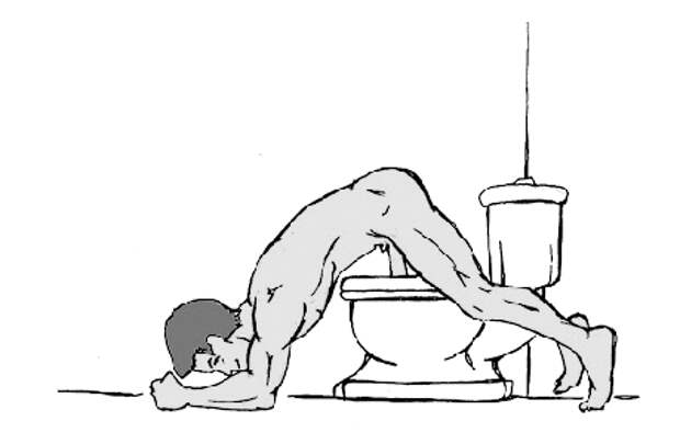 Опускающаяся собака<br /> Этот метод работает практически для всех, однако он слегка сложен для применения, и, если кто-то прогуливается за вашей спиной, способен породить <br /> массу вопросов. Встаньте спиной к унитазу, расставьте ноги на ширине плеч (в большинстве случаев этого достаточно). Согнитесь вперед в талии, пока <br /> не коснетесь пола ( или противоположной стенки, трубы в зависимости от планировки вашей ванной комнаты). Выровняйте положение вашего шланга <br /> относительно входного отверстия унитаза, начинайте. Не прогибайте спину. Если вы застряли – просто представьте, что вы занимаетесь йогой по утрам и <br /> переходите к следующему упражнению.<br /> Примечание: Эта позиция может помочь вам научиться пользоваться унитазом аккуратнее в целом. Дело в том, что опускаясь лицом вниз, вы неизменно <br /> окажетесь перед тем, чем вы не потрудились попасть в унитаз по окончании предыдущих упражнений.