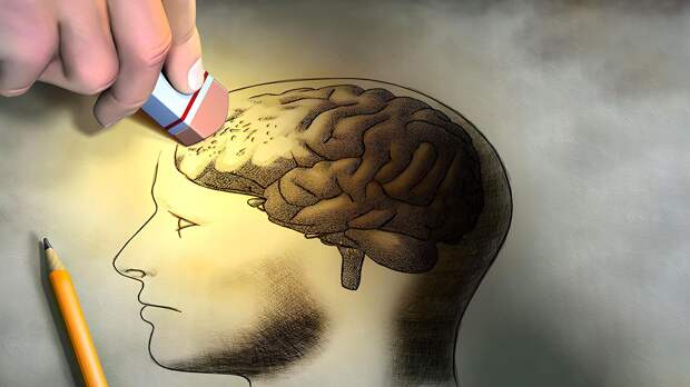 Ученые сделали удивительное открытие о потере памяти. Дело не в возрасте