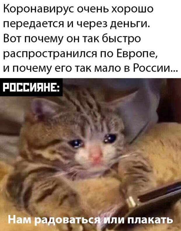 www.vsyako.net