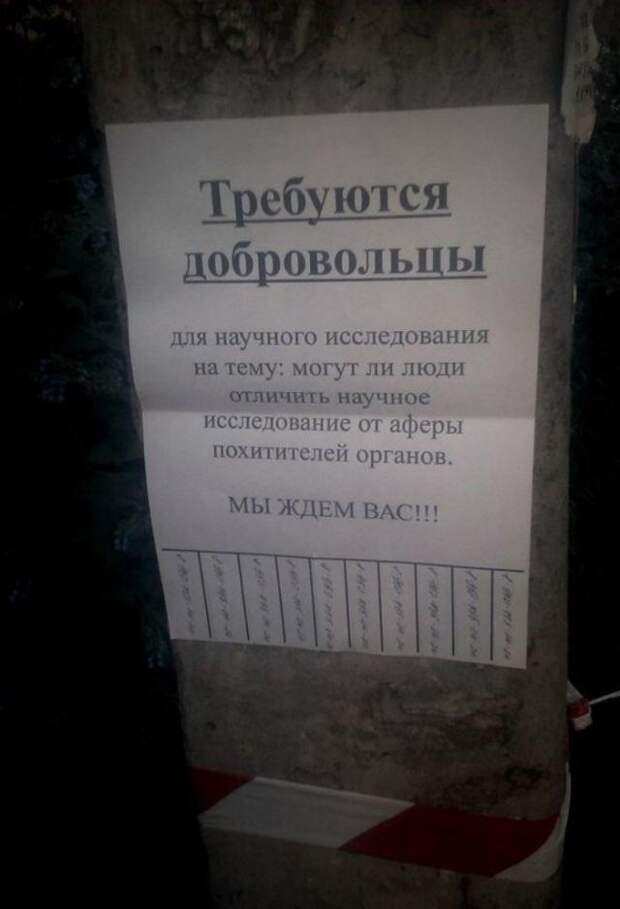 25 уморительных объявлений: так могли написать только наши люди!