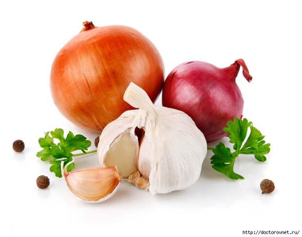 5239983_lyk_chesnok (700x550, 113Kb)