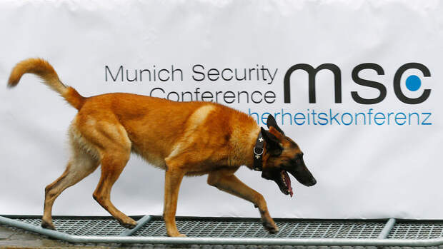 Euractiv: глава Нацразведки США подтвердила участие в Мюнхенской конференции