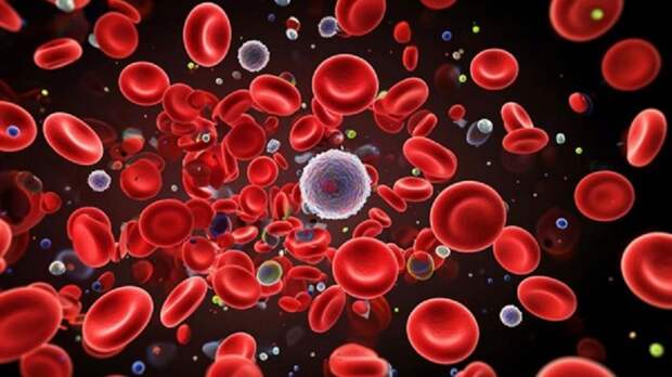 Молодая кровь тормозит Альцгеймер, а старая ускоряет