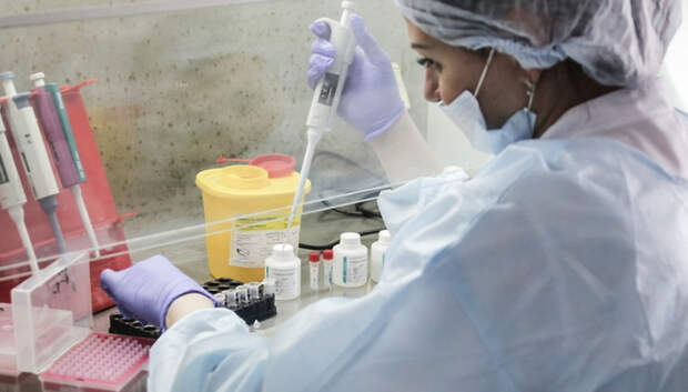 Частная лаборатория в Подольске начала делать тесты на коронавирус