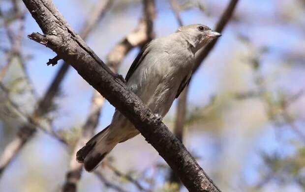 Bigpicture ru без названия 2022 06 22t110046.861