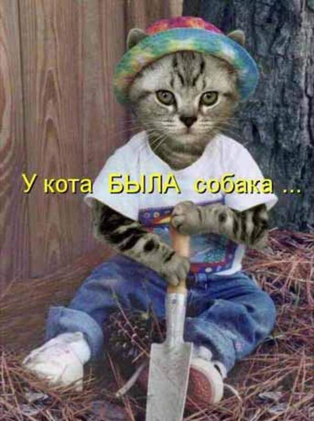 анекдот