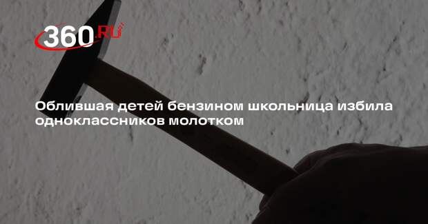 Источник 360.ru: подпалившая детей школьница избила одноклассников молотком