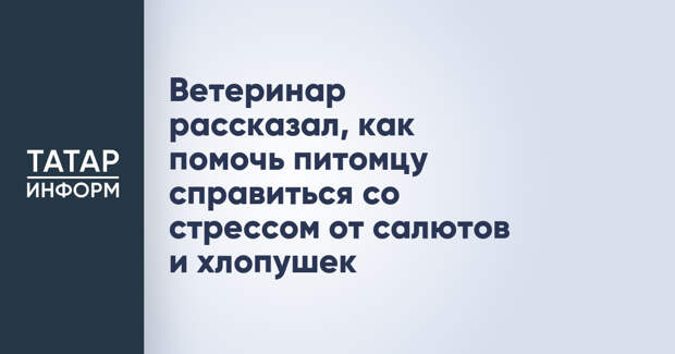 Ветеринар рассказал, как помочь питомцу справиться со стрессом от салютов и хлопушек