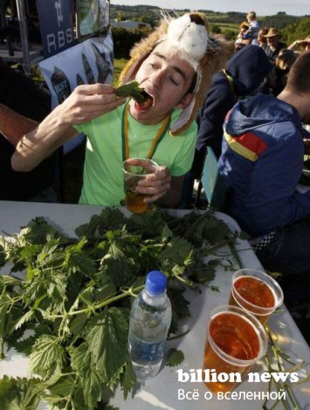 Чемпионат мира по поеданию крапивы (7 фото)