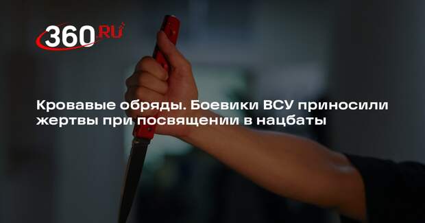 Гагин: радикалы — сатанисты ВСУ проводили обряды посвящения с жертвоприношениями