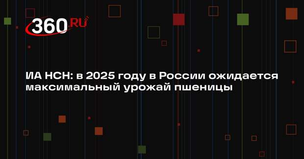 ИА НСН: в 2025 году в России ожидается максимальный урожай пшеницы