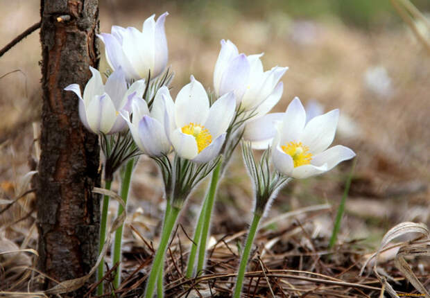 А у Вас никогда не было ощущения, что погода подыгрывает вашему настроению? Представляем прогноз на 9 марта в Туле