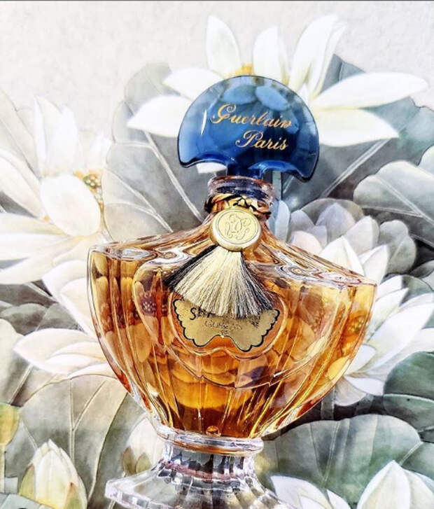 духи shalimar от guerlain