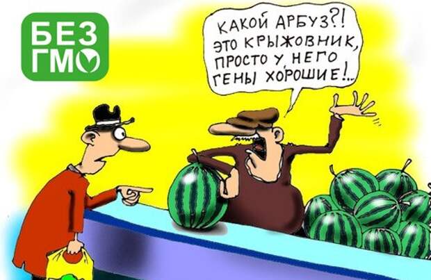 Ученые доказали: ГМО - страшный яд Ученые доказали: ГМО - страшный яд