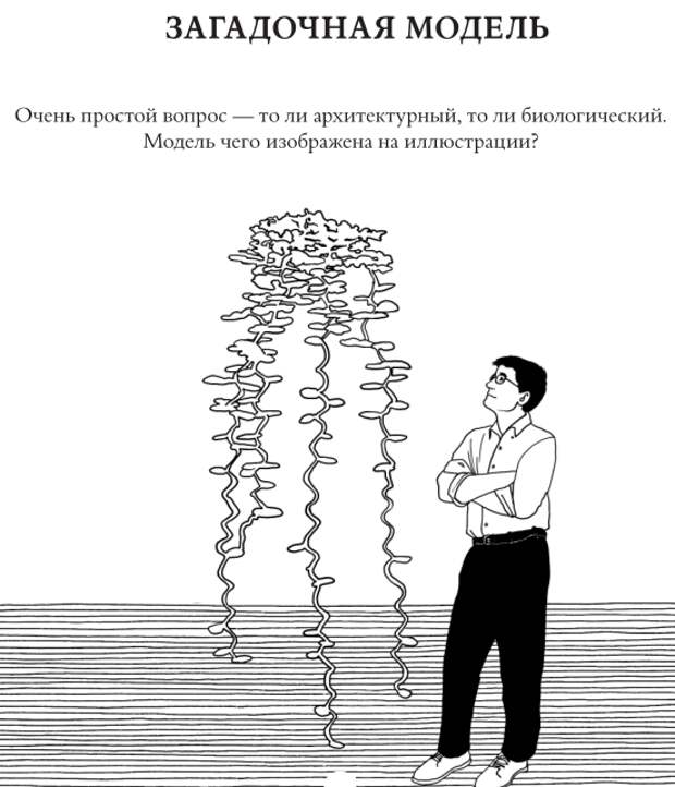 Картинки для развития мозга взрослого человека с ответами