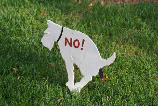 Реалистичное изображение.