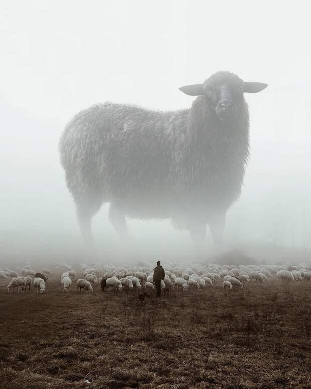 Невероятные миры от Ted Chin Арт, Цифровой рисунок, Фотоманипуляции, Сюрреализм, Длиннопост