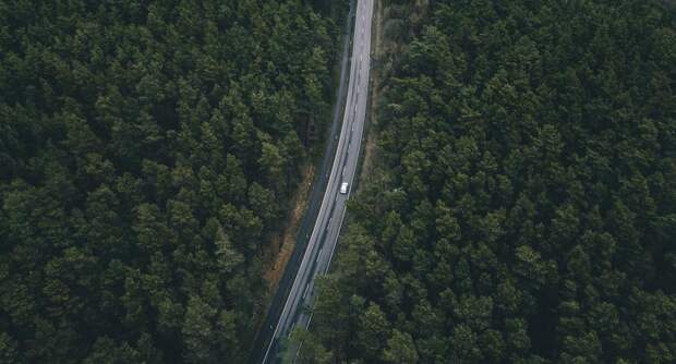 Дорогу к кладбищу достроят в Электрогорске к концу июня