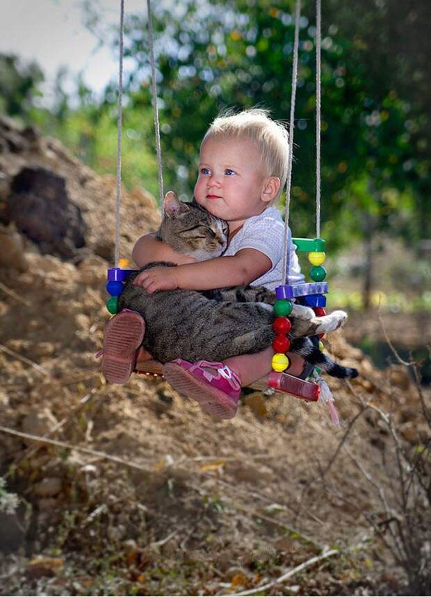 Младенцы и кошки (24 фото)