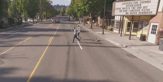 kyle-goose-5-0