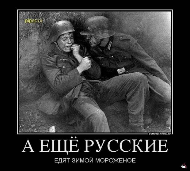 Блоги.  -  