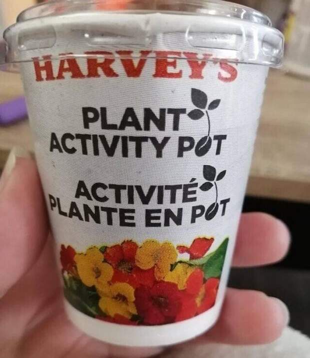 В закусочных Harvey's в Канаде к стандартному детскому сету в качестве подарка прилагается не игрушка, а горшочек с живым растением