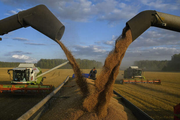 Посол: КНР и РФ намерены увеличить объемы поставок зерна по сухопутному коридору