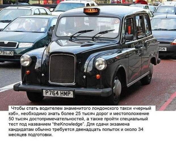 Достоверные факты, в которые трудно поверить.
