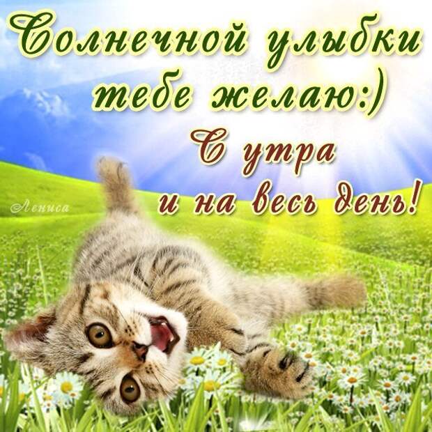 поздравления вотсап