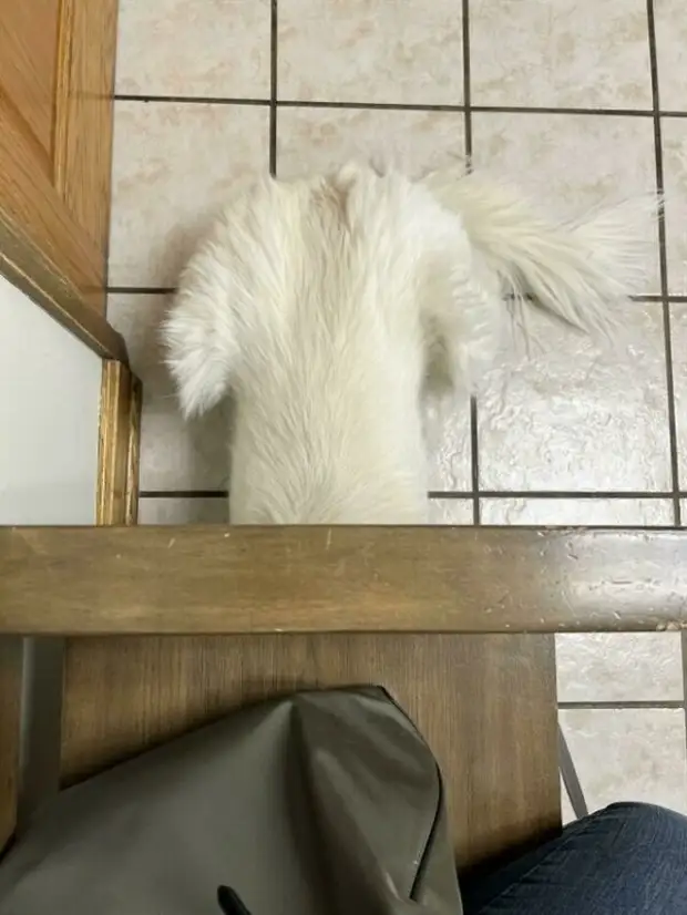 ?