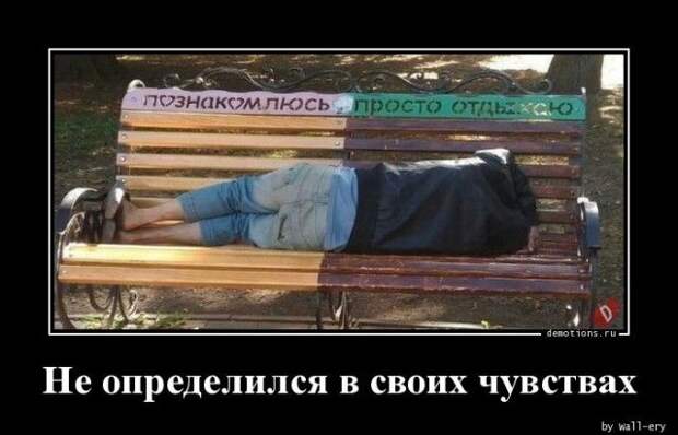 1589439986_demki-22.jpg