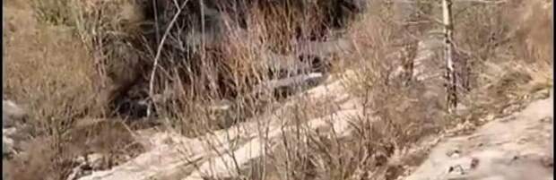 Мама с дочерью не смогли спуститься с маршрута в горах Алматы