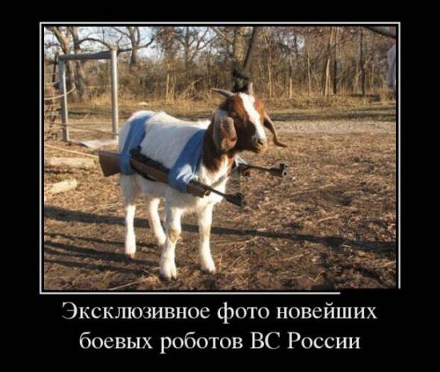 Смешные демотиваторы января (2014)