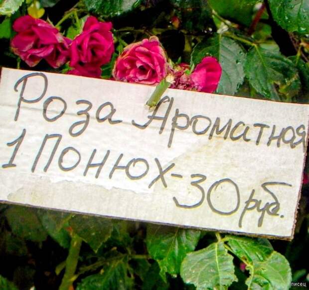 Боги маркетинга нас радуют снова