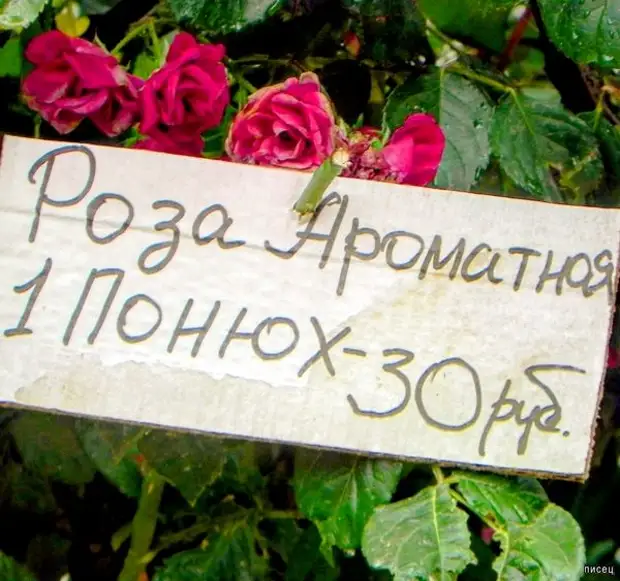 Боги маркетинга нас радуют снова
