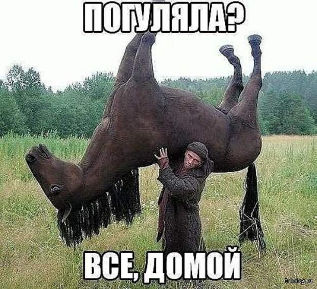 Смешные картинки с надписями