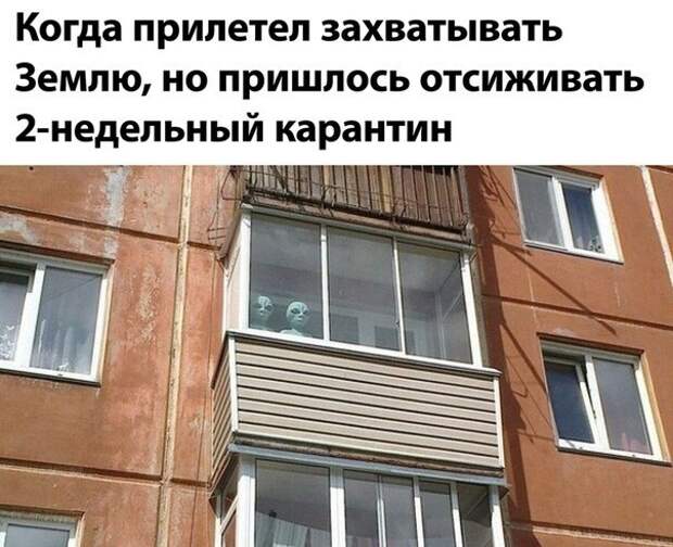 Карантин для всех )