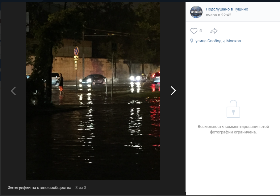 Фото дня: Свобода после дождя