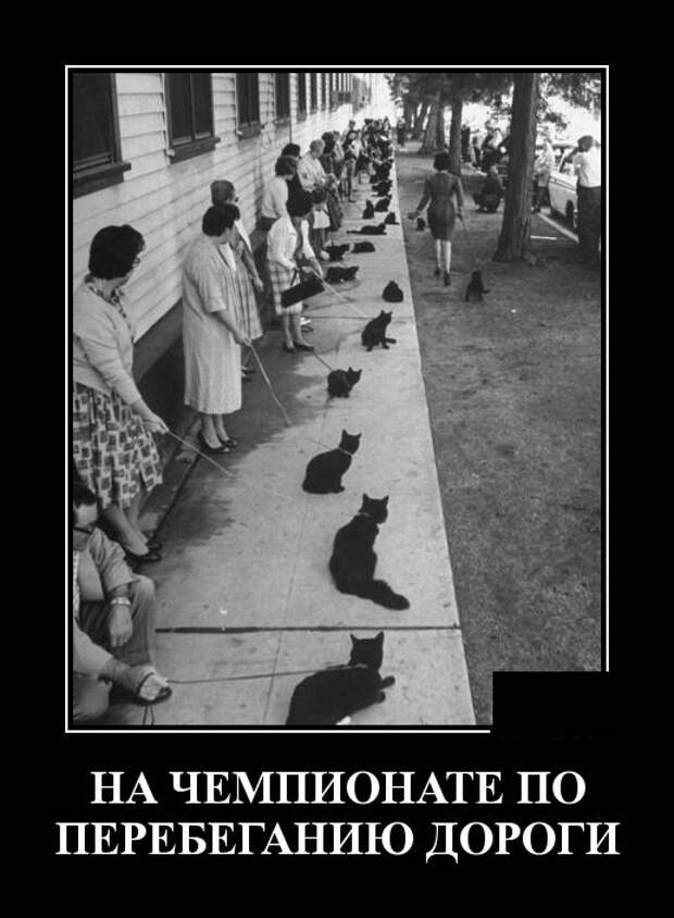 Демотиваторы (30 фото)