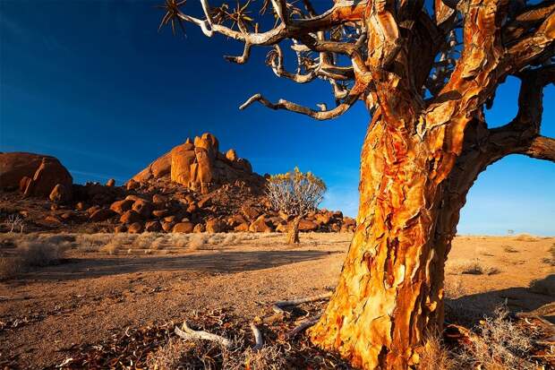 Namibia19 Namibia19 Фантастические пейзажи Намибии