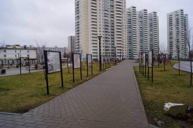 Черемушки. Парк.jpg