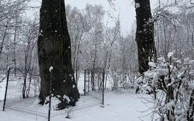 В Рязани продолжается благоустройство ЦПКиО