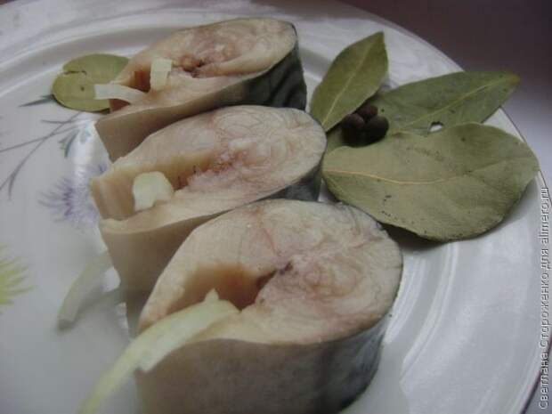 соленая скумбрия рецепт соленая скумбрия рецепт
