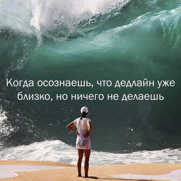 Смешные картинки с надписями для настроения (11 фото) Смешные картинки с надписями для настроения (11 фото)
