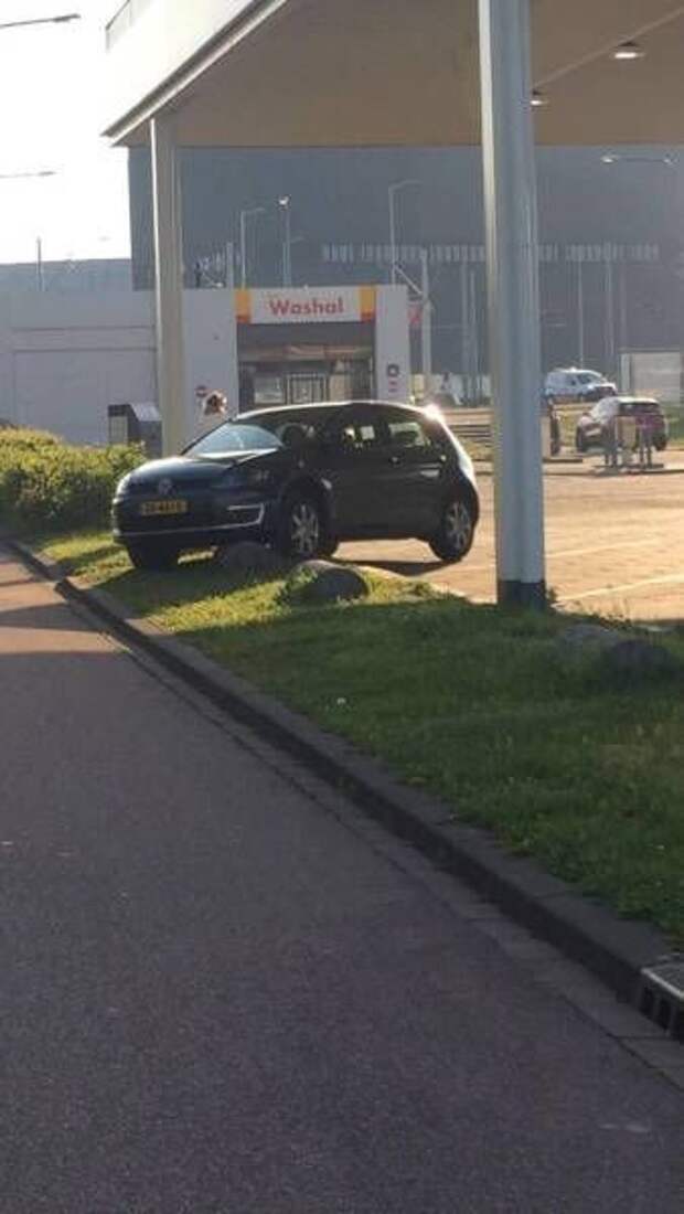 Прикольные картинки Прикольные картинки