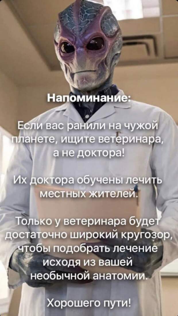 Шутки и мемы из Сети Шутки и мемы из Сети